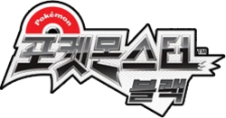 포켓몬스터 블랙